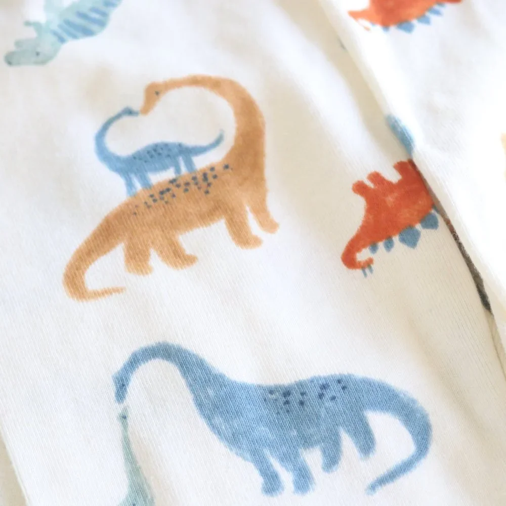 Baby Boy Dinosaur Watercolor Leggings Comfy Elastic Pull On Pants